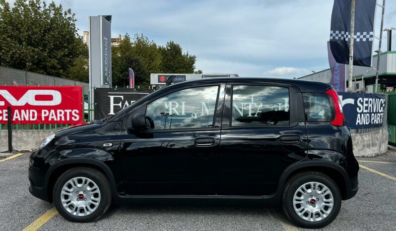 Panda 1.0 Hybrid pieno