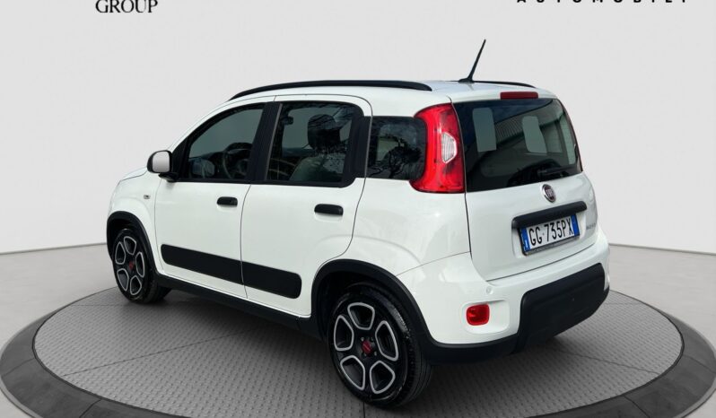 Panda hybrid pieno