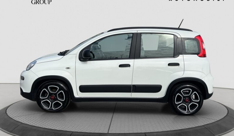 Panda hybrid pieno