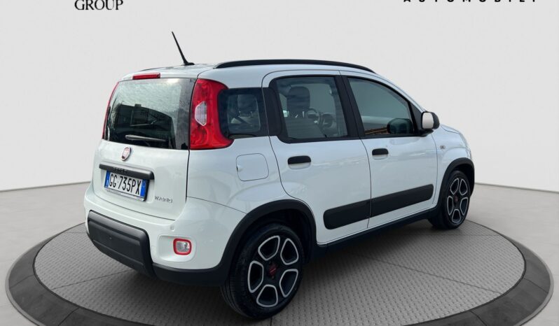 Panda hybrid pieno