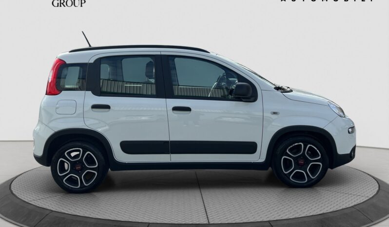 Panda hybrid pieno